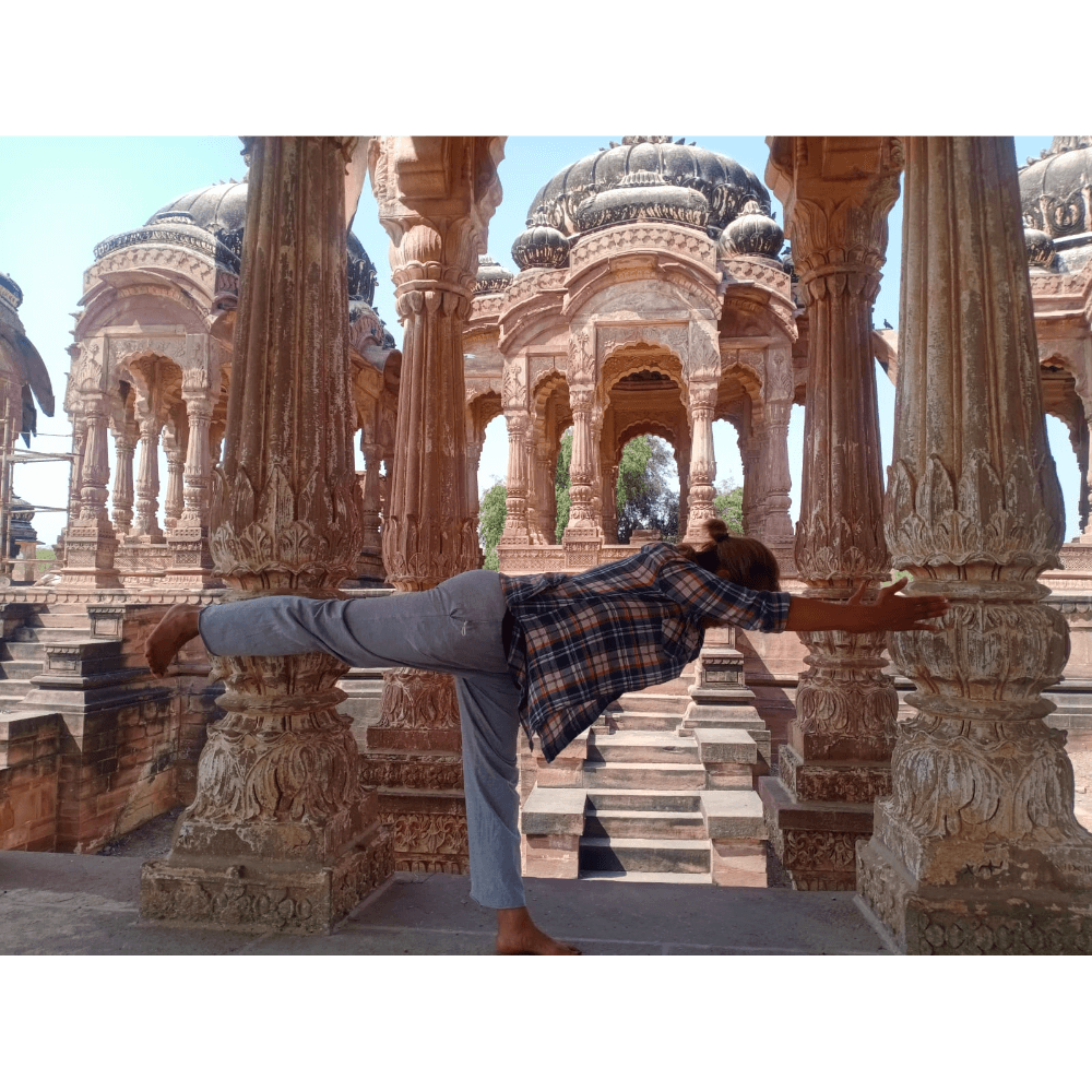 Matza 5 1000x1000 panda