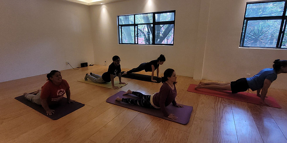 bd14d8_11c173a43873429c8d2a8ffd9fde13b2~mv2