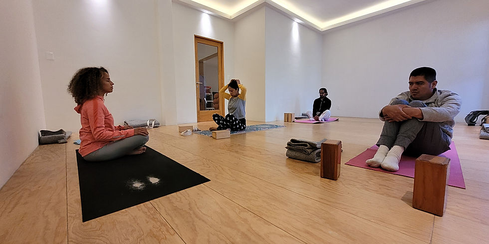 bd14d8_4f88b47de798498a8d54fa369e83bd79~mv2