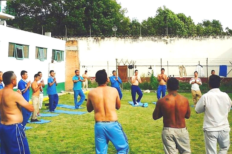 bd14d8_5ed36532a01f429aa3e0ee91a096cc74~mv2